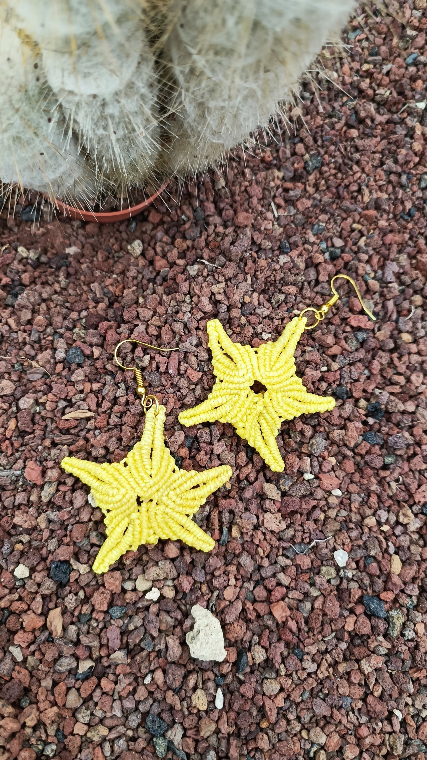 Pendientes Estrella de Mar