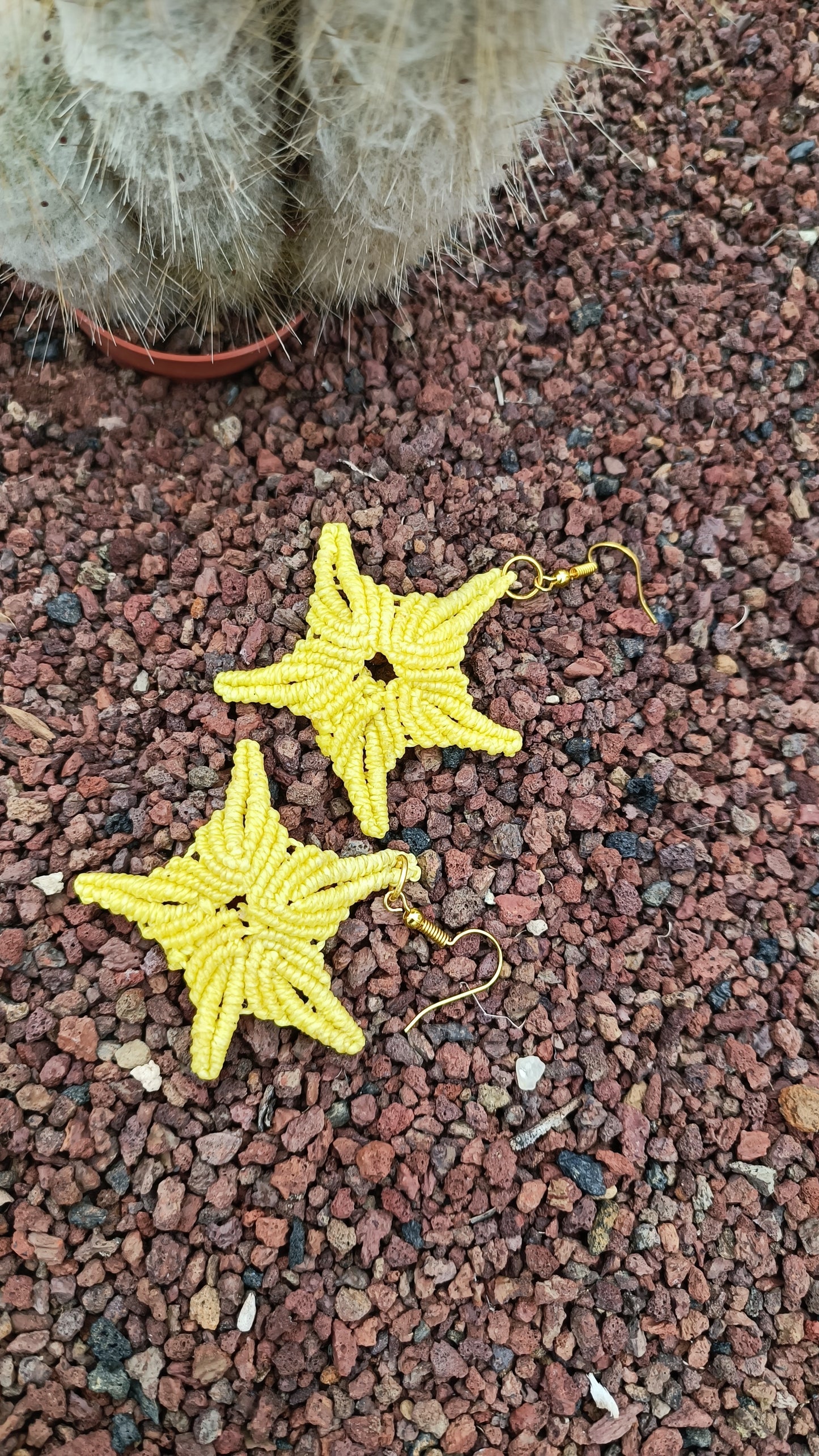 Pendientes Estrella de Mar