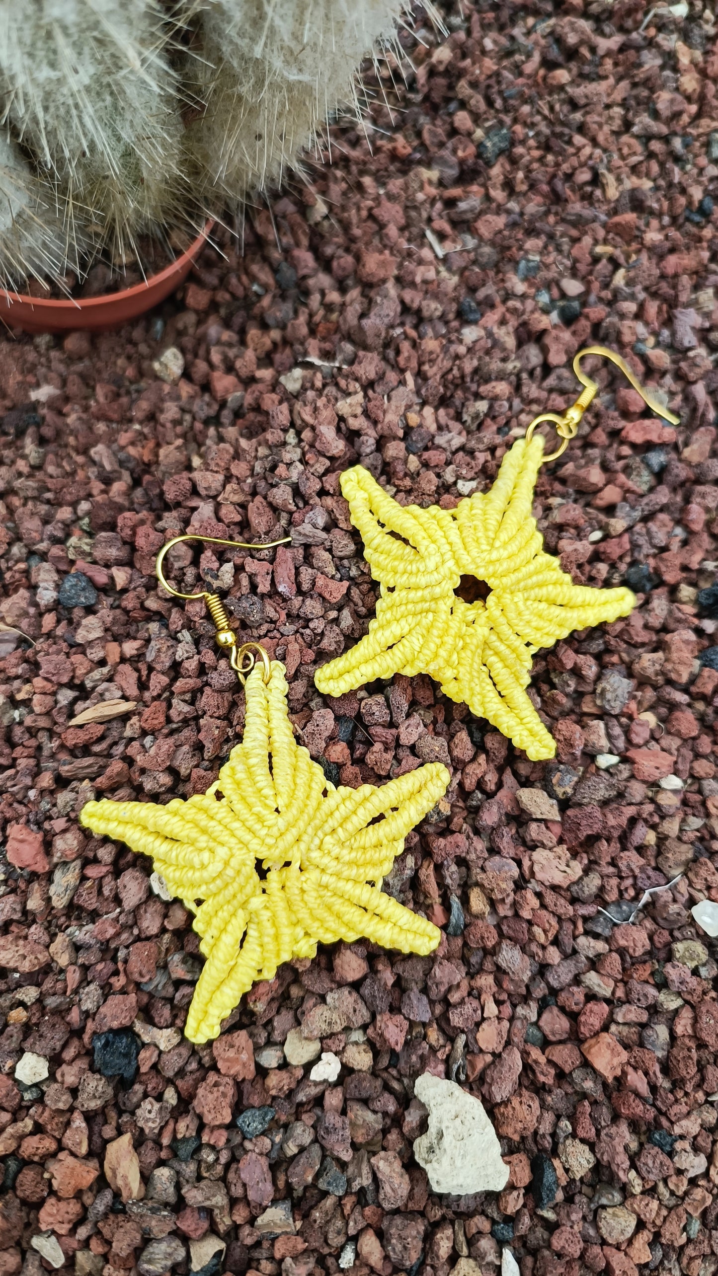 Pendientes Estrella de Mar